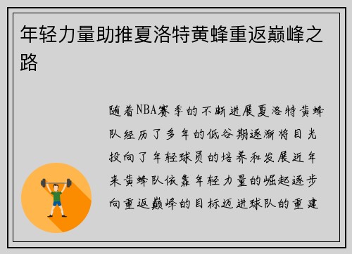 年轻力量助推夏洛特黄蜂重返巅峰之路