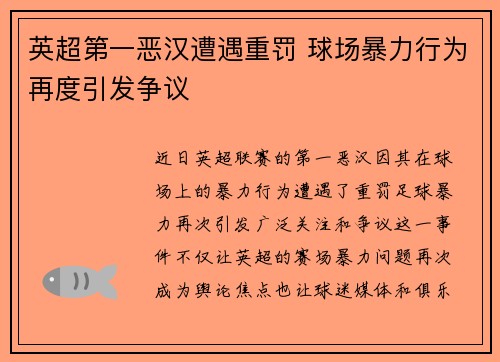 英超第一恶汉遭遇重罚 球场暴力行为再度引发争议
